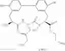 Fig. 98 - Antibacterial ester macrocycles