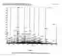 Fig. 09 - Peptide anti-tumor agent