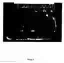 Fig. 10 - Peptide anti-tumor agent