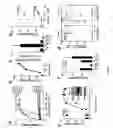 Fig. 78 - Methods and composition for derepressions of IAP-inhibited caspase