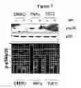 Fig. 09 - Method of treating myelodysplastic syndromes