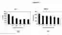 Fig. 33 - Method of treating myelodysplastic syndromes