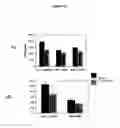 Fig. 35 - Method of treating myelodysplastic syndromes