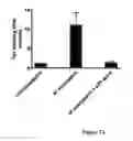 Fig. 08 - Chimeric proteins with phosphatidylserine binding domains