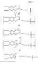 Fig. 04 - Modified MscL protein channel