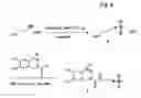 Fig. 07 - Modified MscL protein channel