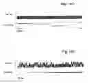 Fig. 18 - Modified MscL protein channel