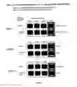 Fig. 02 - Compositions and methods of treating HIV infections