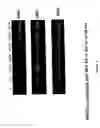Fig. 03 - Compositions and methods of treating HIV infections