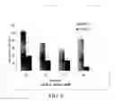 Fig. 05 - Materials and methods for regulating blood flow