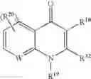 Fig. 100 - Ether linked macrolides useful for the treatment of microbial infections