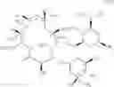 Fig. 20 - Ether linked macrolides useful for the treatment of microbial infections