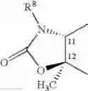 Fig. 22 - Ether linked macrolides useful for the treatment of microbial infections