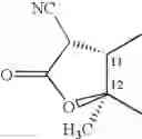 Fig. 28 - Ether linked macrolides useful for the treatment of microbial infections
