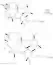 Fig. 48 - Ether linked macrolides useful for the treatment of microbial infections