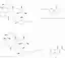 Fig. 76 - Ether linked macrolides useful for the treatment of microbial infections