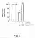 Fig. 03 - Formulation for inwardly transferring nucleic acids into eucaryotic cells