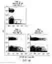 Fig. 03 - Compositions and methods for the treatment of inflammatory bowel disease utilizing NF-kappaB decoy polynucleotides