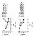 Fig. 06 - Compositions and methods for the treatment of inflammatory bowel disease utilizing NF-kappaB decoy polynucleotides