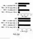Fig. 09 - Compositions and methods for the treatment of inflammatory bowel disease utilizing NF-kappaB decoy polynucleotides