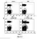 Fig. 10 - Compositions and methods for the treatment of inflammatory bowel disease utilizing NF-kappaB decoy polynucleotides