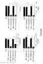 Fig. 15 - Compositions and methods for the treatment of inflammatory bowel disease utilizing NF-kappaB decoy polynucleotides