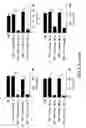 Fig. 16 - Compositions and methods for the treatment of inflammatory bowel disease utilizing NF-kappaB decoy polynucleotides