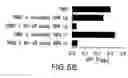Fig. 17 - Compositions and methods for the treatment of inflammatory bowel disease utilizing NF-kappaB decoy polynucleotides