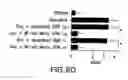 Fig. 20 - Compositions and methods for the treatment of inflammatory bowel disease utilizing NF-kappaB decoy polynucleotides