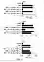 Fig. 23 - Compositions and methods for the treatment of inflammatory bowel disease utilizing NF-kappaB decoy polynucleotides