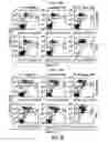 Fig. 24 - Compositions and methods for the treatment of inflammatory bowel disease utilizing NF-kappaB decoy polynucleotides