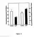Fig. 06 - Transforming growth factor-beta response element decoys and methods