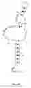 Fig. 18 - Ghrelin binding nucleic acids