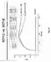 Fig. 19 - Ghrelin binding nucleic acids