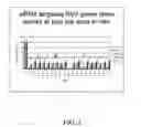 Fig. 03 - RNAi modulation of RSV and therapeutic uses thereof