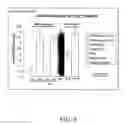 Fig. 05 - RNAi modulation of RSV and therapeutic uses thereof