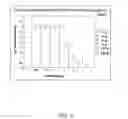 Fig. 06 - RNAi modulation of RSV and therapeutic uses thereof