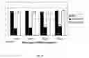 Fig. 10 - RNAi modulation of RSV and therapeutic uses thereof