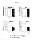 Fig. 06 - Method for inhibition of lipogenesis by regulating PRP19 expression