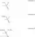 Fig. 06 - Anti-inflammatory substituted phenols and elastomeric compositions for oral delivery of drugs