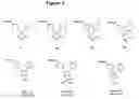Fig. 04 - Silicon containing compounds having selective COX-2 inhibitory activity and methods of making and using the same