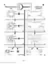 Fig. 08 - Methods of and compositions for reducing neuronal cell death