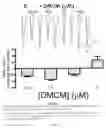 Fig. 12 - Gabaergic agents to treat memory deficits