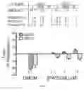 Fig. 13 - Gabaergic agents to treat memory deficits
