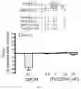Fig. 16 - Gabaergic agents to treat memory deficits