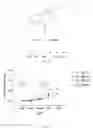 Fig. 17 - Gabaergic agents to treat memory deficits
