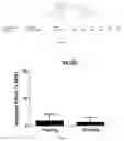 Fig. 18 - Gabaergic agents to treat memory deficits