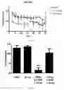 Fig. 19 - Gabaergic agents to treat memory deficits