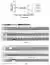 Fig. 21 - Gabaergic agents to treat memory deficits