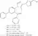 Fig. 53 - Gabaergic agents to treat memory deficits
